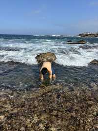 Coastal Calm & Ocean Treasures at Little Bay