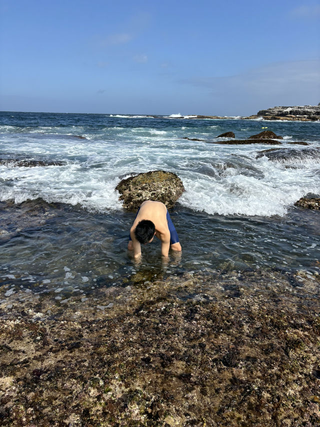Coastal Calm & Ocean Treasures at Little Bay