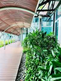 The Gardens Mall: Where Sustainability Blooms Naturally