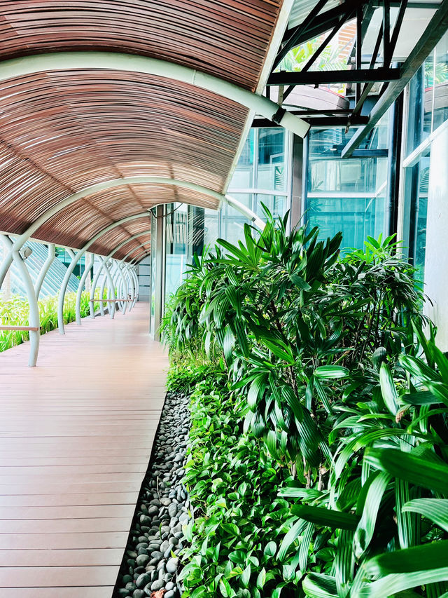 The Gardens Mall: Where Sustainability Blooms Naturally