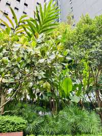 “Nature in the City: PARKROYAL COLLECTION’s Sustainable Escape”