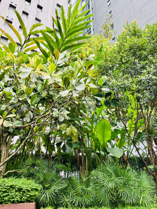 “Nature in the City: PARKROYAL COLLECTION’s Sustainable Escape”