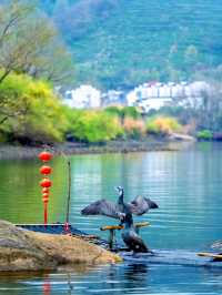 Peach Blossom Pool: A Town Woven in Poetry and Romance