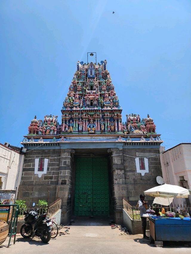 【チェンナイ/インド】パルタサラティ寺院
