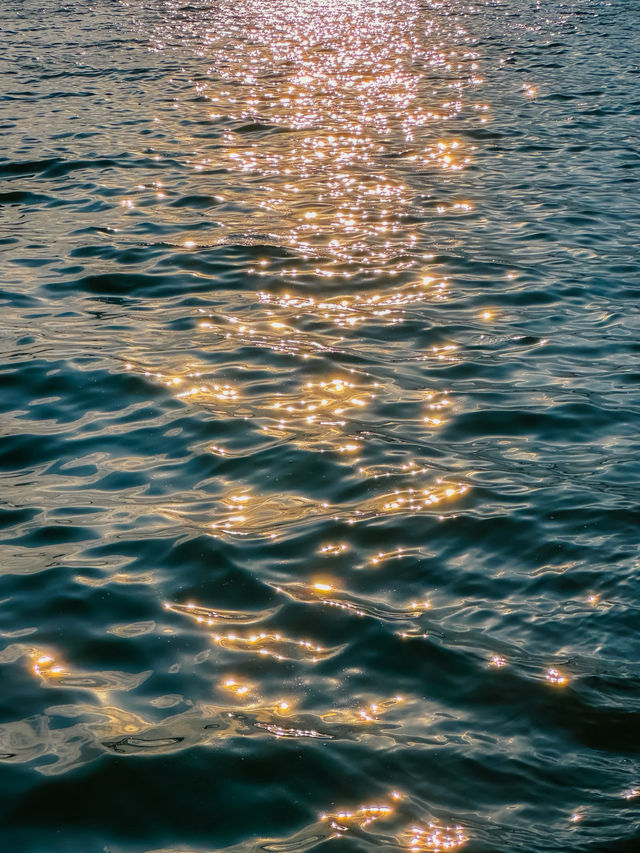 분위기 낭낭한 저녁 산책 코스로 최고 💫🍃