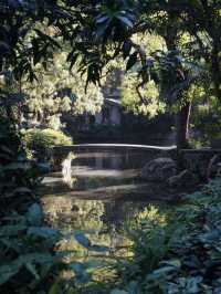 🌿 Lanpu Garden: A Lingnan-Style Hidden Gem in Downtown Guangzhou