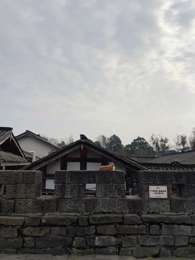 จุดถ่ายรูปลับๆกับกำแพงเมืองโบราณที่ Dujiangyan 