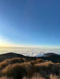 Sea of Clouds in the Morning Light