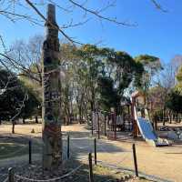 日本大仙公園💕避開人流好去處