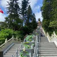 A Majestic Encounter with Tian Tan Buddha
