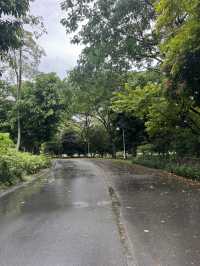 Explore and have a leisurely walk at Jurong Lake Gardens