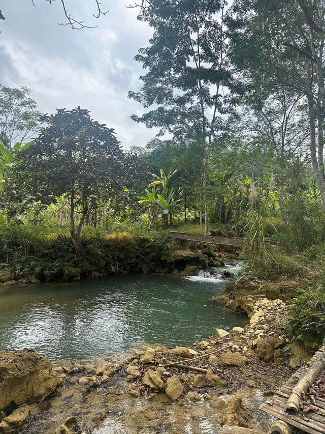 A Hidden Oasis