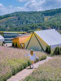 THE CAMP VILLE DALAT 
