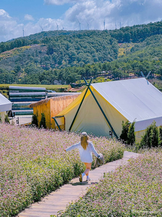 THE CAMP VILLE DALAT 