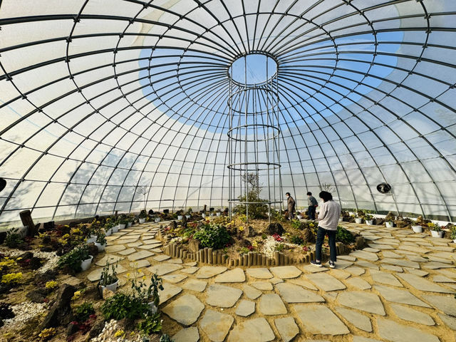 Play, Pets & Plants—Pyeongtaek Fun!