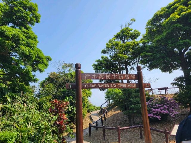🌿🌊 **香港清水灣郊野公園：自然愛好者的天堂** 🌊🌿