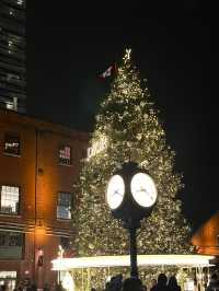 【カナダ】トロントで過ごすクリスマス