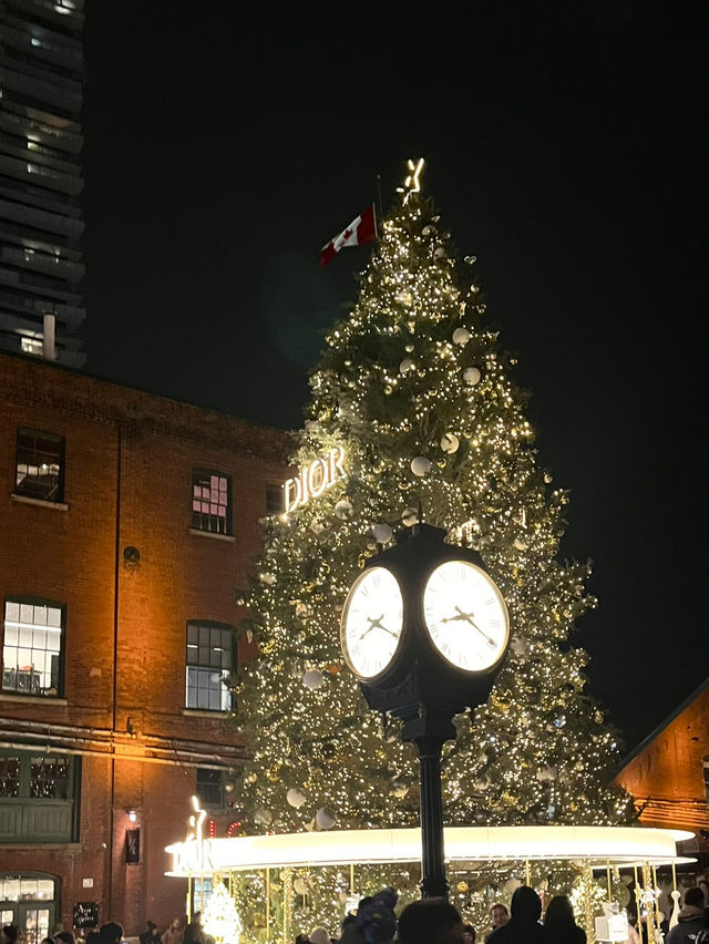 【カナダ】トロントで過ごすクリスマス
