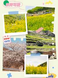 Namhae's Paradangse: An Enchanting Escape
