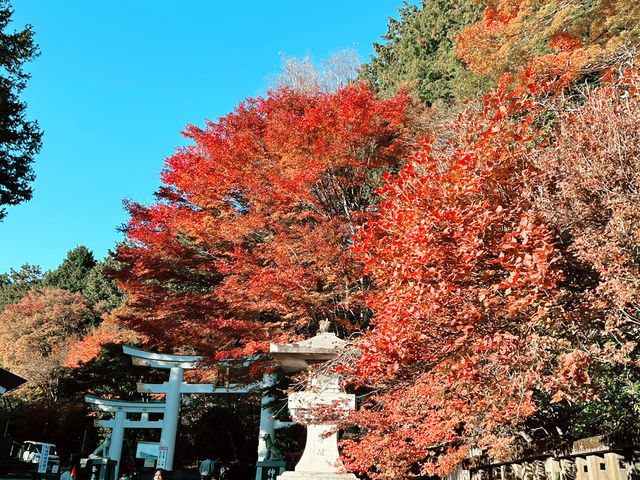【埼玉⛩️秩父】一度は訪れたい！日本屈指のパワースポット