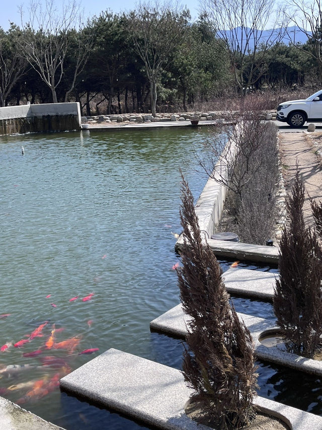 🌿 완주 야외 테라스 카페 추천
