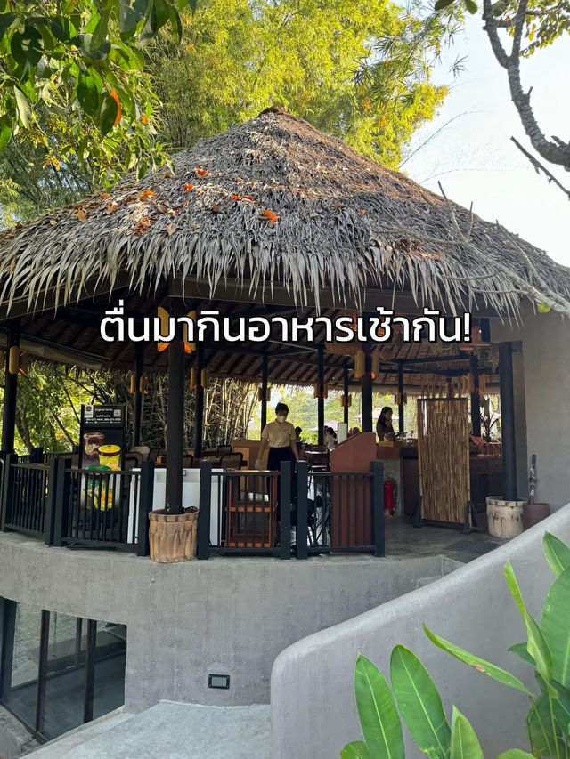 🌳 รีวิวที่พักสวนผึ้ง ที่ต้องไปซ้ำ บริการดีมาก!🥰✨