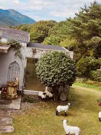 Wonye Arts Village: A Horticultural Haven 