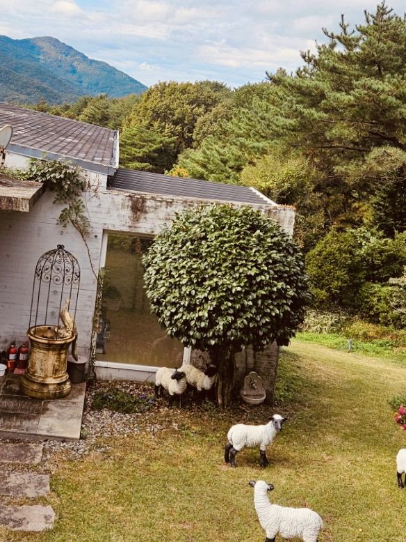 Wonye Arts Village: A Horticultural Haven 