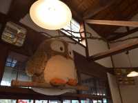 Discover Nokonoshima Island 