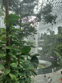 Jewel Changi Airport, SGP