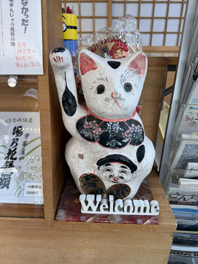 伊香保名物「勝月堂」—元祖温泉まんじゅうの老舗で味わう、素朴な甘さ