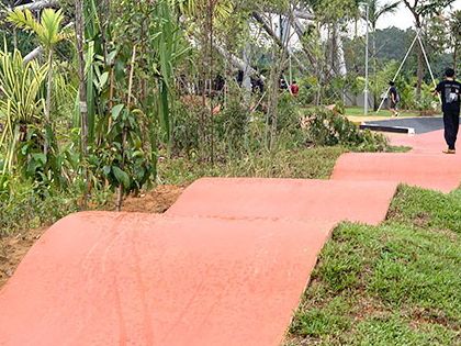 🛹 Concrete Playground: Skating, Sunshine & Good Vibes at Lakeside Garden, Singapore!