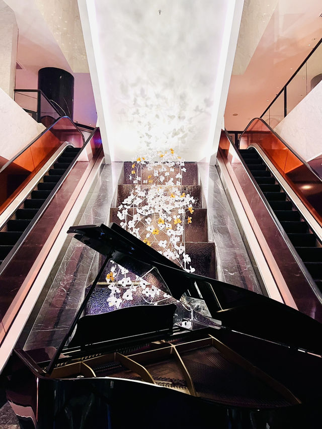 “Orchard Hotel Singapore: Where Elegance Meets the Heart of Orchard Road”