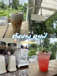 มัดรวมคาเฟ่ ระยอง 