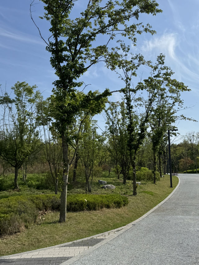 🌲 일월수목원, 수원의 숨은 보석!