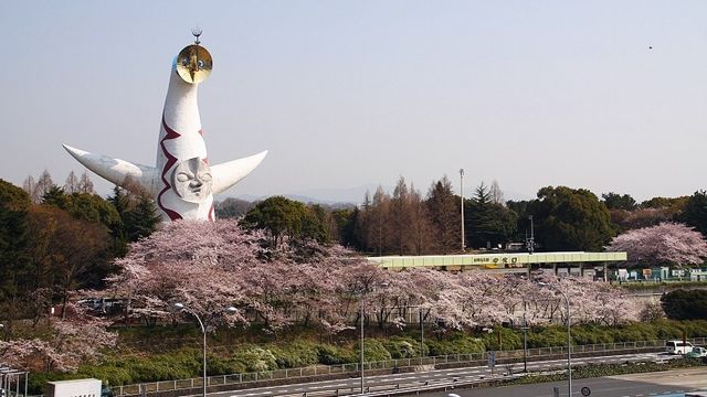 🌸 Expo '70 Park: Osaka's Secret Sakura Wonderland! 🌸