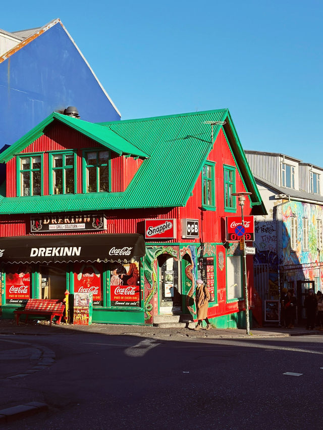 Day 6: City Strolls & Whale Tales in Reykjavík