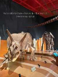 本物の化石に触れちゃう！？いわき市石炭・化石館ほるる