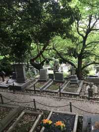 【横浜元町から山手の港の見える丘公園を歩きイギリス館へ】