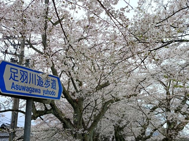 福井縣~因為輕小說讓我前來的地方~