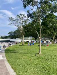 城市中的⛰️陽台山森林公園✨體驗自然風光行程推薦🏞️ 