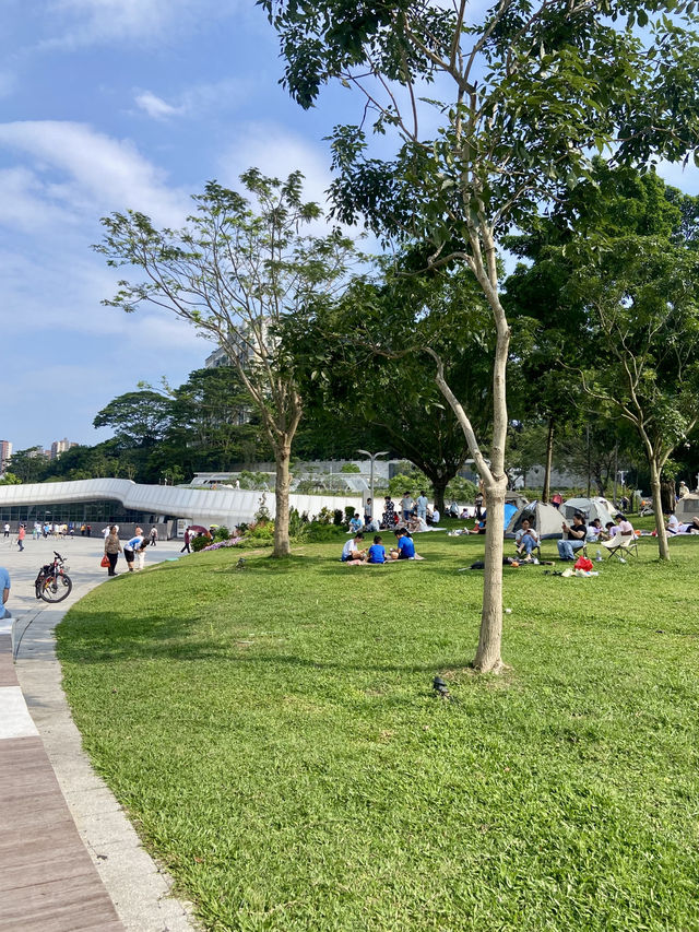 城市中的⛰️陽台山森林公園✨體驗自然風光行程推薦🏞️ 