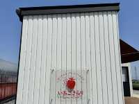 福崗任摘士多啤梨園🍓（附價錢）