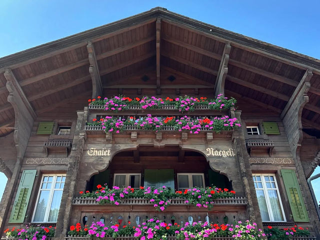 My 3-Day Itinerary at the Alpabzug Festival in Switzerland
