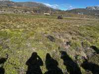 Discover the scenic view & wombats sightings at Cradle Mountain Ronny Creek walk