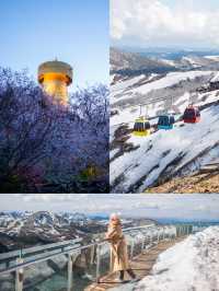 รีวิว ภูเขาหิมะสือข่า Shika Snow Mountain