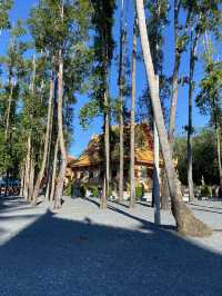 Peace, prayers, and Phatthalung temples
