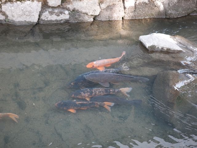 Setogawa canal