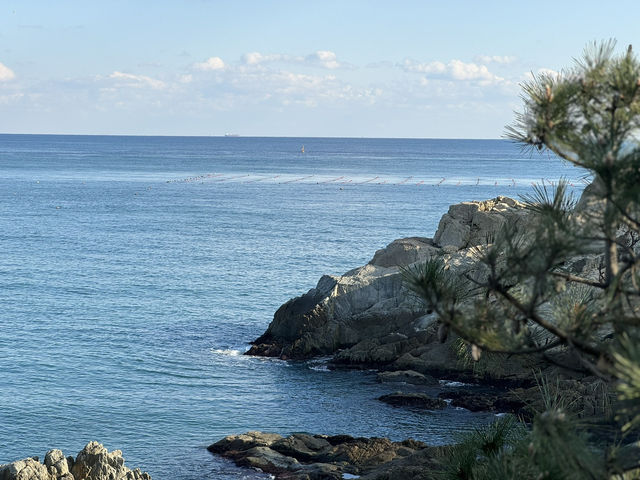釜山海東龍宮寺｜海岸線上最美的寺廟🌊