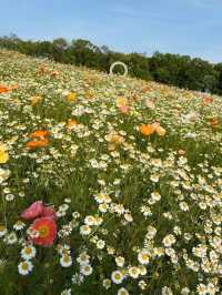 Just Pure Flower Happiness